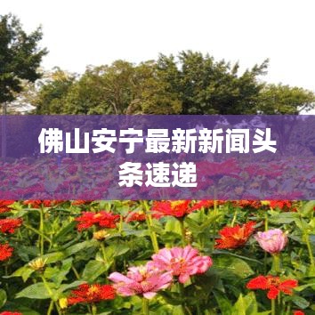 佛山安宁最新新闻头条速递