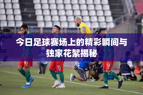 今日足球赛场上的精彩瞬间与独家花絮揭秘
