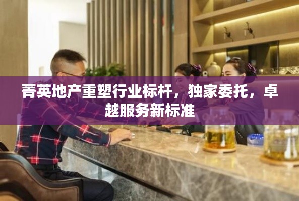 菁英地产重塑行业标杆，独家委托，卓越服务新标准