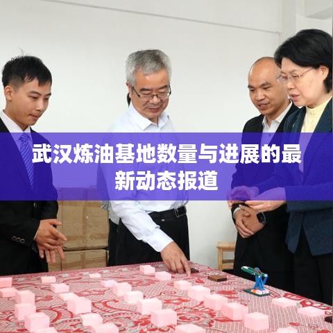 武汉炼油基地数量与进展的最新动态报道