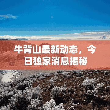 牛背山最新动态，今日独家消息揭秘