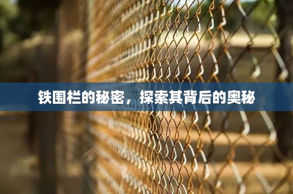 铁围栏的秘密，探索其背后的奥秘
