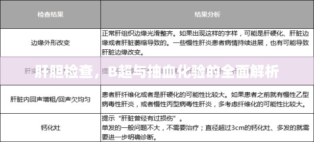 肝胆检查，B超与抽血化验的全面解析