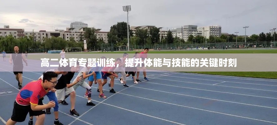 高二体育专题训练，提升体能与技能的关键时刻