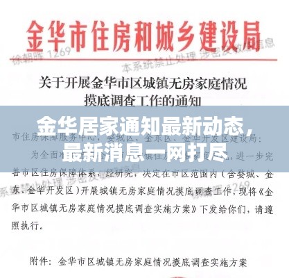 金华居家通知最新动态，最新消息一网打尽
