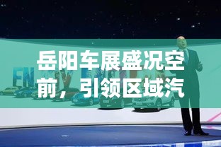 岳阳车展盛况空前，引领区域汽车发展展望新篇章