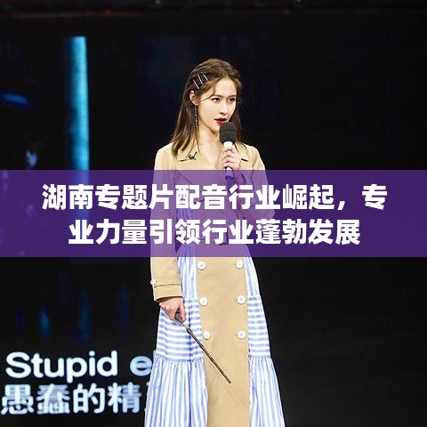 湖南专题片配音行业崛起，专业力量引领行业蓬勃发展