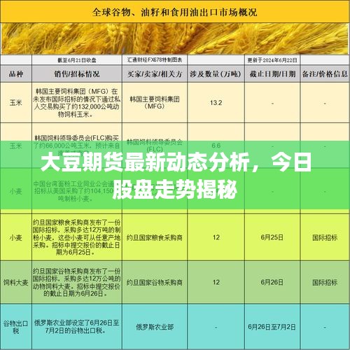 大豆期货最新动态分析，今日股盘走势揭秘