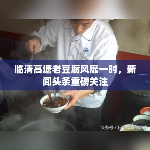 临清高塘老豆腐风靡一时，新闻头条重磅关注