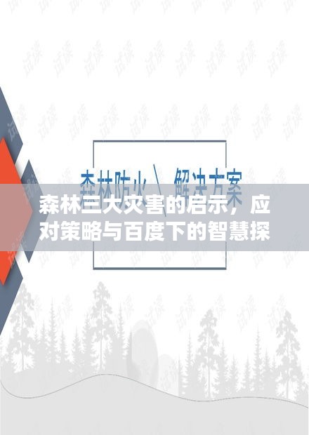 森林三大灾害的启示，应对策略与百度下的智慧探寻