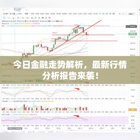 今日金融走势解析，最新行情分析报告来袭！
