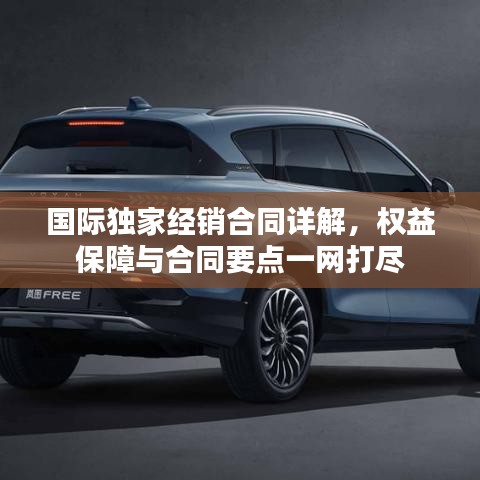 国际独家经销合同详解，权益保障与合同要点一网打尽