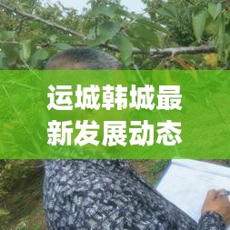 运城韩城最新发展动态，引领地方发展的头条新闻