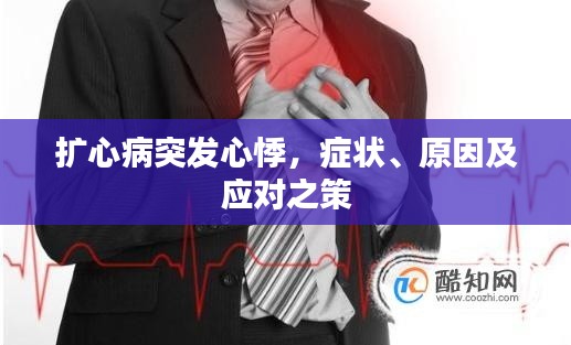 扩心病突发心悸，症状、原因及应对之策