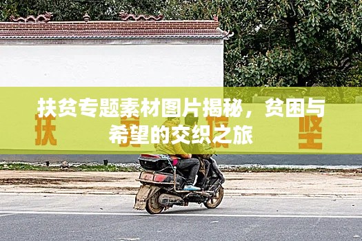 扶贫专题素材图片揭秘，贫困与希望的交织之旅