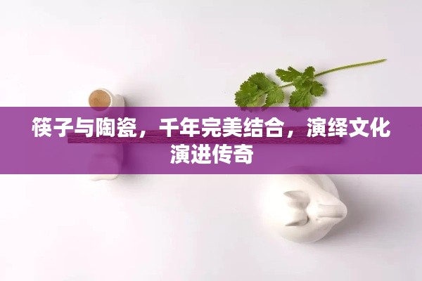筷子与陶瓷，千年完美结合，演绎文化演进传奇