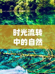 时光流转中的自然风景韵律，时光流转与四季更迭
