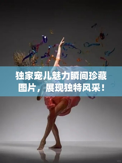 独家宠儿魅力瞬间珍藏图片，展现独特风采！