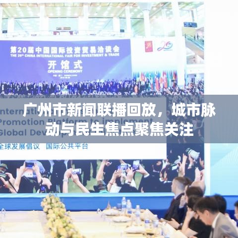 广州市新闻联播回放，城市脉动与民生焦点聚焦关注