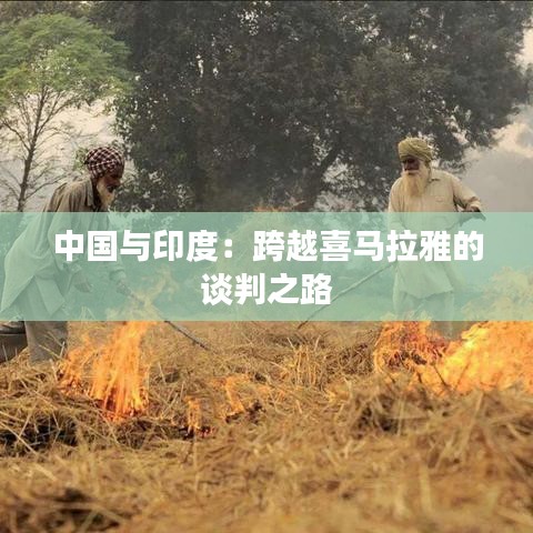 中国与印度：跨越喜马拉雅的谈判之路