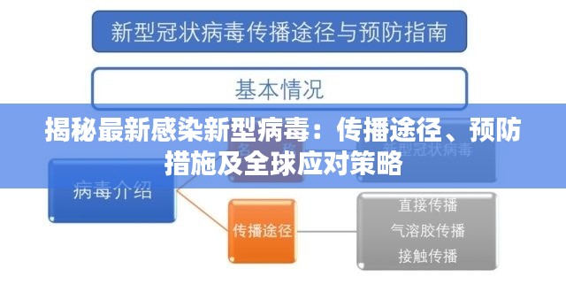 揭秘最新感染新型病毒：传播途径、预防措施及全球应对策略