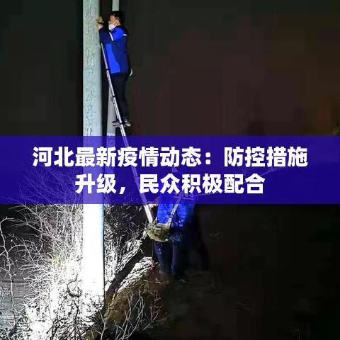 河北最新疫情动态：防控措施升级，民众积极配合