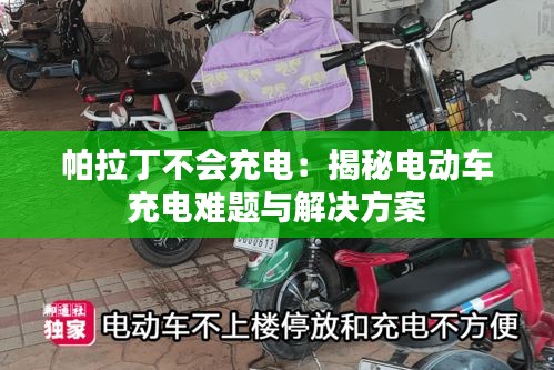 帕拉丁不会充电：揭秘电动车充电难题与解决方案