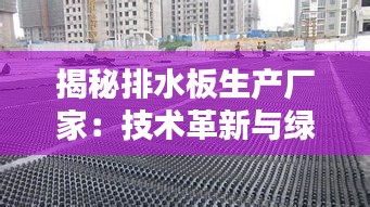 揭秘排水板生产厂家：技术革新与绿色环保的完美结合