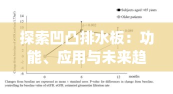 探索凹凸排水板：功能、应用与未来趋势