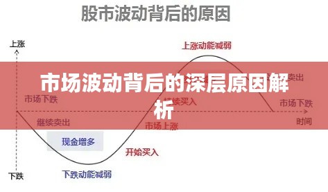 市场波动背后的深层原因解析