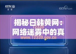 揭秘日韩黄网：网络迷雾中的真实与危害