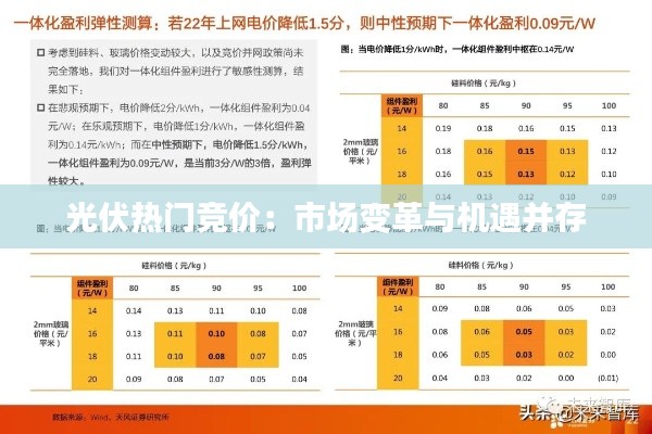 光伏热门竞价：市场变革与机遇并存