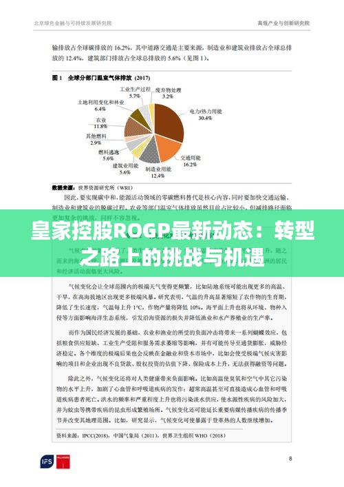 皇家控股ROGP最新动态：转型之路上的挑战与机遇