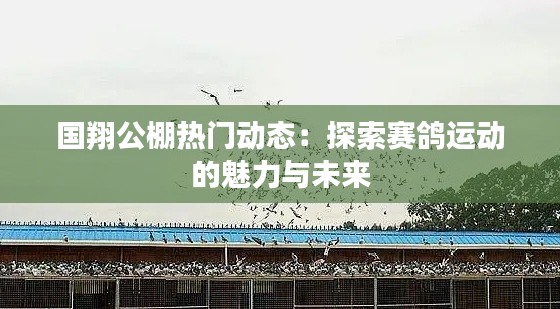 国翔公棚热门动态：探索赛鸽运动的魅力与未来