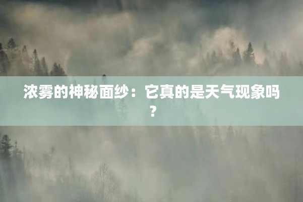 浓雾的神秘面纱：它真的是天气现象吗？