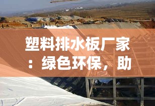 塑料排水板厂家：绿色环保，助力现代建筑排水革新