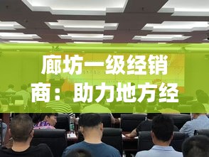 廊坊一级经销商：助力地方经济发展的中坚力量