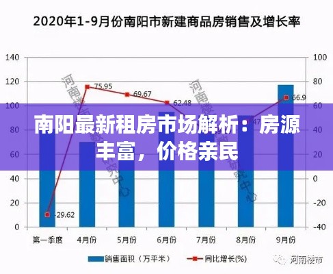 南阳最新租房市场解析：房源丰富，价格亲民