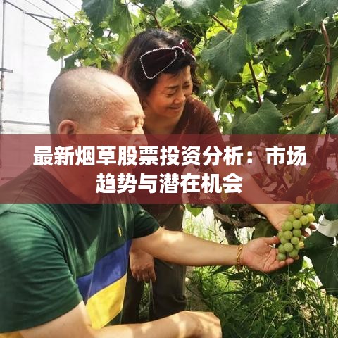 最新烟草股票投资分析：市场趋势与潜在机会