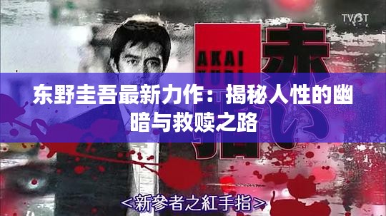 东野圭吾最新力作：揭秘人性的幽暗与救赎之路