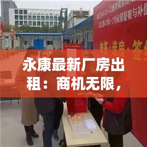 永康最新厂房出租：商机无限，工业地产新篇章