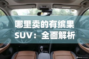 哪里卖的有缤果SUV：全面解析购买渠道与注意事项