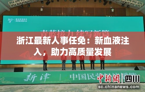 浙江最新人事任免：新血液注入，助力高质量发展