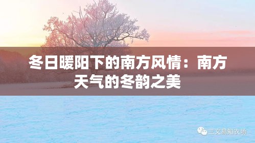 冬日暖阳下的南方风情：南方天气的冬韵之美