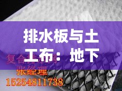 喜笑颜开 第2页