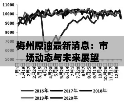 梅州原油最新消息：市场动态与未来展望