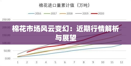 棉花市场风云变幻：近期行情解析与展望