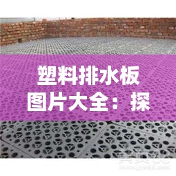 塑料排水板图片大全：探索现代建筑排水系统的秘密