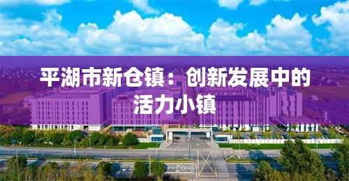 平湖市新仓镇：创新发展中的活力小镇