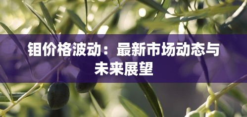 钼价格波动：最新市场动态与未来展望